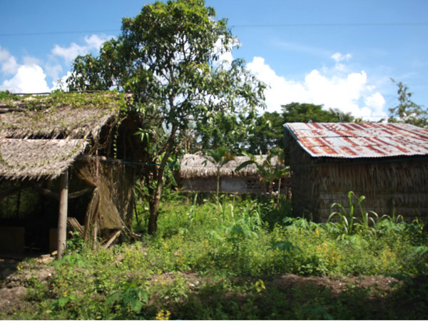 Trường mầm non: Dựng góc vườn, nghe heo réo