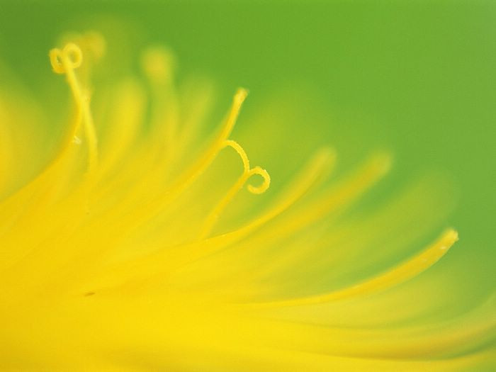 Tuần của bạn (22/8 - 28/8)