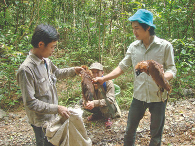 Nghiệt ngã kiếp phu trầm - Kỳ 7: Sống nơi rừng thẳm