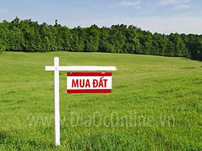 Mua đất lợi hơn vàng, USD