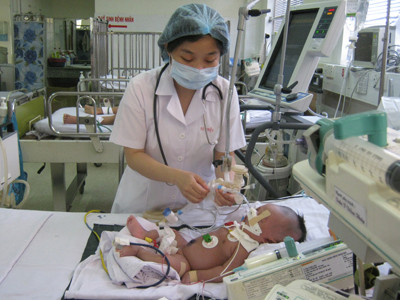 Mang họa vì 'bà đỡ vườn'