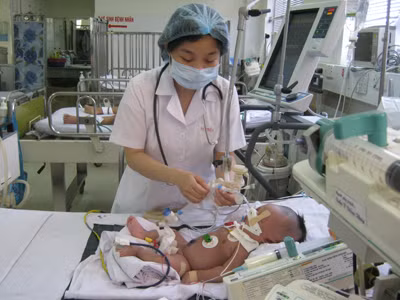 Mang họa vì 'bà đỡ vườn'