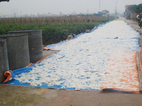 Nguyên liệu mứt Tết kín đường làng, mặc nhặng đậu