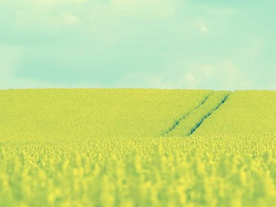 Thứ sáu của bạn (26-8)