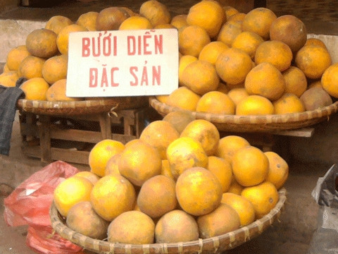 Đặc sản bưởi Diễn, chủ yếu là giả