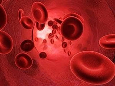 Cơ thể và chất sắt