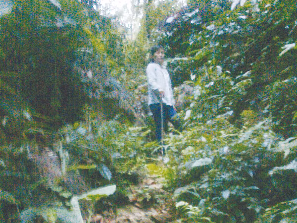 Đời phu vàng