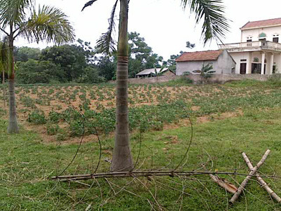 Trường hợp nào phải thỏa thuận với dân khi thu hồi đất?