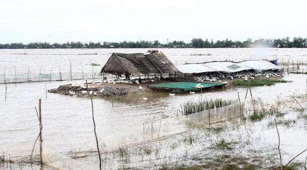 Sơ tán dân trước 9 giờ sáng 30-9 để tránh bão số 5