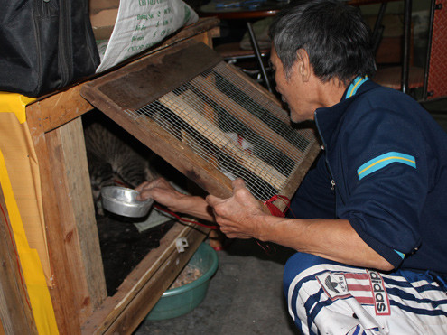 Chó, mèo cũng phải đăng ký 'chính chủ'