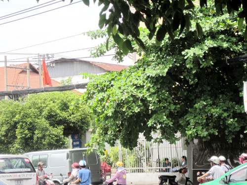 Trộm vào tận UBND P.3, Q. Bình Thạnh trộm chiếc xe SH