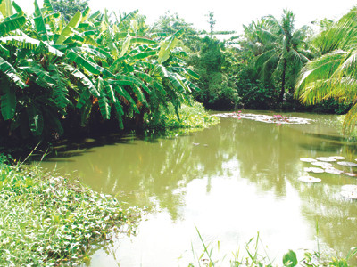 Đất 'quan' đắt hơn đất dân!