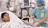 6 ca tử vong, TPHCM cảnh báo 'nóng' nguy cơ bùng phát dịch sốt xuất huyết
