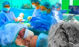 Bác sĩ 'vá' mạch máu trong bụng mẹ, cứu thai nhi mắc khối u khổng lồ