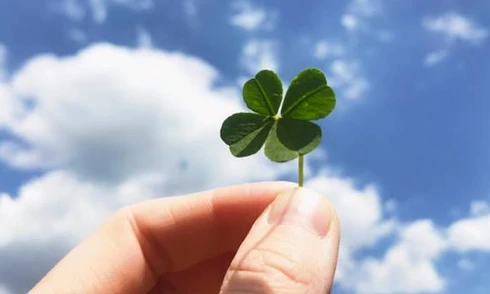 3 cung hoàng đạo may mắn nhất năm 2026 và 3 cung có thể "làm gì cũng xong”