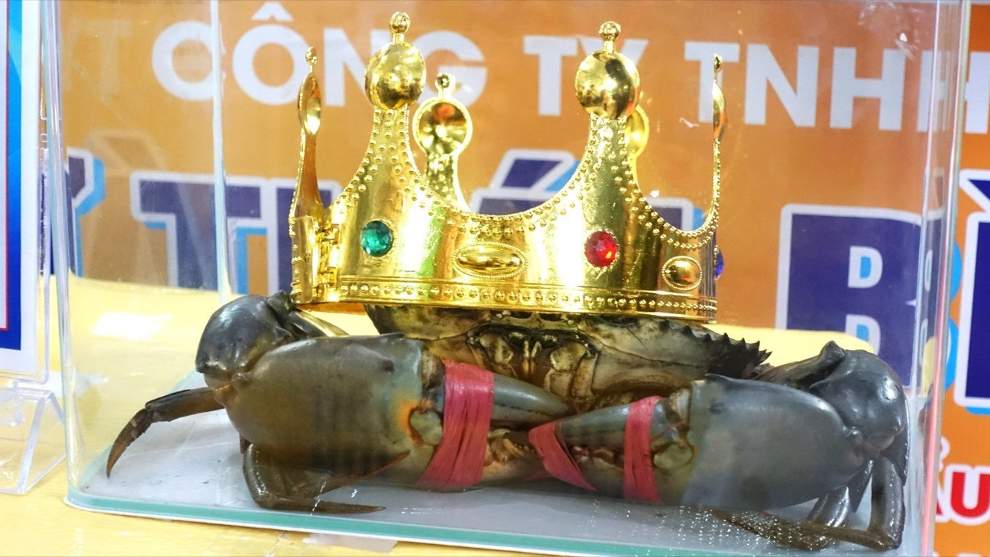 vua-cua-ca-mau-5555.jpg