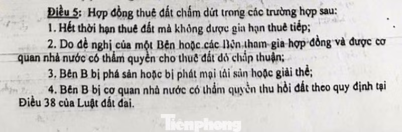 tp-truong-ngoi-sao-8585.jpg