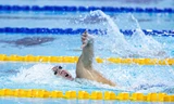 SEA Games 33: Chiêm ngưỡng kình ngư Nguyễn Huy Hoàng rẽ nước, thống trị đường đua xanh