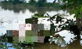 Lũ rút, bàng hoàng phát hiện thi thể mắc trên cành cây