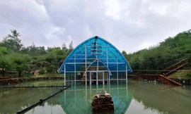 Xót xa tháp Chăm nghìn năm tuổi tại Huế bị ngâm nhiều ngày giữa nước lớn, dân lo sập đổ