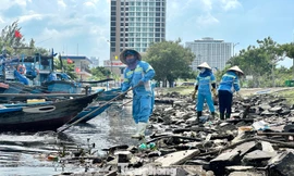  Rác thải ken đặc bãi biển Đà Nẵng sau bão 