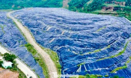 Đà Nẵng: Dân khổ sở vì sống cạnh bãi rác bốc mùi suốt ngày đêm