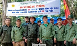 Đà Nẵng lập chốt chặn, ngăn phá rừng để thu hoạch quả ươi