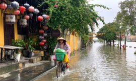 Ngôi nhà cổ ở số 23 Tiểu La - trung tâm phố cổ Hội An xuống cấp trầm trọng, nguy cơ đổ sụp Ảnh Hoài Văn 