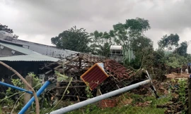 Người dân bàng hoàng kể lại vài chục giây lốc xoáy 'lướt' qua khiến nhà tốc mái, cây gãy đổ, 4 người bị thương