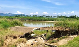 Đà Nẵng khẩn cấp ngăn sạt lở kè sông Vu Gia và sông Quảng Huế