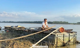 Trao cơ hội để nông dân Quảng Ngãi thoát nghèo bền vững