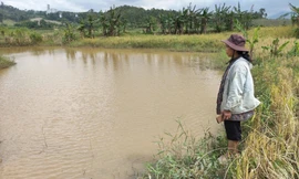 Thủy điện làm ngập đất lúa của dân,chủ đầu tư không thể rũ bỏ trách nhiệm