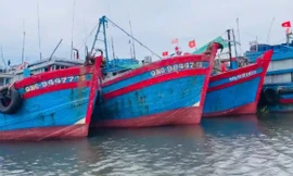 Quảng Ngãi phạt gần 900 triệu đồng 4 thuyền trưởng tàu cá vi phạm