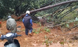 Ớn lạnh khi qua các cung đường sạt lở, đá rơi như muốn 'nuốt' người đi đường