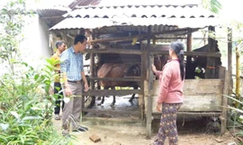 'Giảm nghèo thông tin' mở lối thoát nghèo cho người dân vùng cao Quảng Ngãi