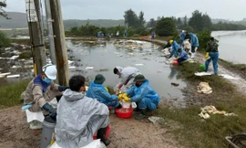 Khẩn trương khắc phục sự cố tràn dầu ở Quảng Ngãi