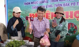 Trao tặng cây giống tại phiên chợ '0 đồng', giúp bà con vượt khó khăn, phát triển kinh tế