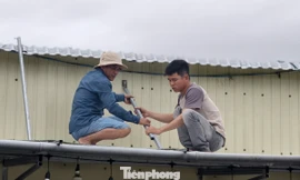 Người dân Quảng Ngãi dùng mọi giải pháp gia cố nhà cửa ứng phó bão số 13