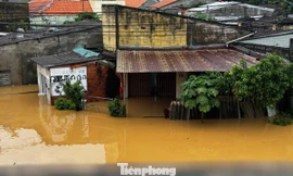 Lũ vượt đỉnh, nhiều khu dân cư ở Quảng Ngãi bị nước bủa vây