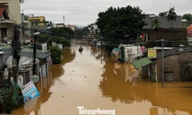 Quảng Ngãi mưa lớn kéo dài, nguy cơ sạt lở và lũ chồng lũ tái diễn