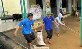 Hơn 1.500 tình nguyện viên 'tiếp sức' người dân Đà Nẵng sau lũ