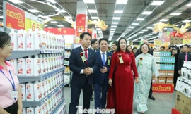 Đà Nẵng có trung tâm thương mại xanh chuẩn quốc tế đầu tiên