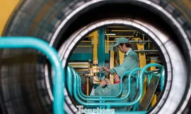 Doanh nghiệp Đà Nẵng ‘xanh hóa’ để phát triển bền vững