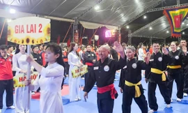 Hơn 500 'cao thủ' so tài tại đất võ