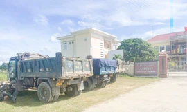 Gia Lai bắt quả tang vụ khai thác đất trái phép quy mô lớn, thu giữ nhiều tang vật