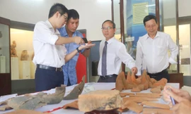 Những phát hiện mới tại phế tích tháp cổ 1.000 năm tuổi ở Gia Lai