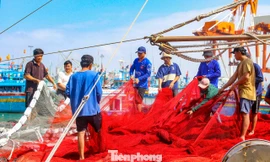 Ngư dân góp phần quảng bá tiềm năng phát triển kinh tế, du lịch biển