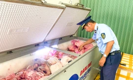 Gia Lai phát hiện hơn 4 tấn thịt và mỡ heo không rõ nguồn gốc