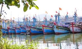 Tàu cá không đủ điều kiện ra khơi, chủ tàu được hỗ trợ 3 triệu đồng/tháng