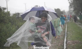 Nước lũ có nơi ngập 2m, người dân Quy Nhơn lên đường ray tìm nơi trú nạn